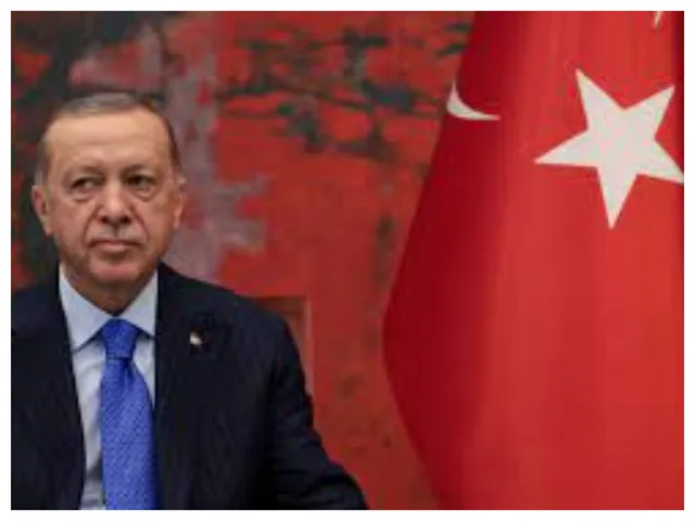 turkey 1