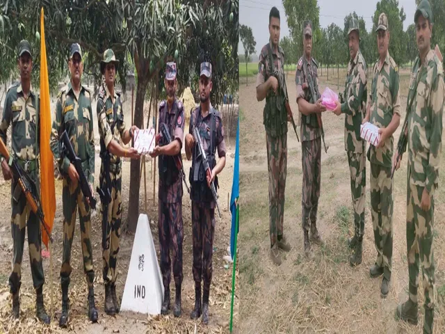 BSF and BGB
