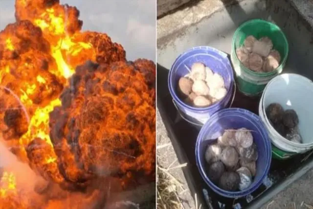 Trinamool chief's brother Laltu Sheikh also died in Margram bomb blast