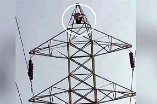 19-year-old climbs power tower