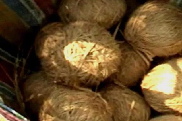 Children injured in bomb blast again before Panchayat elections