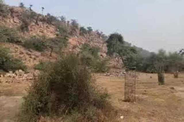 Do you know why Chaitanya Mahaprabhu did not set foot on Govardhan Hill?