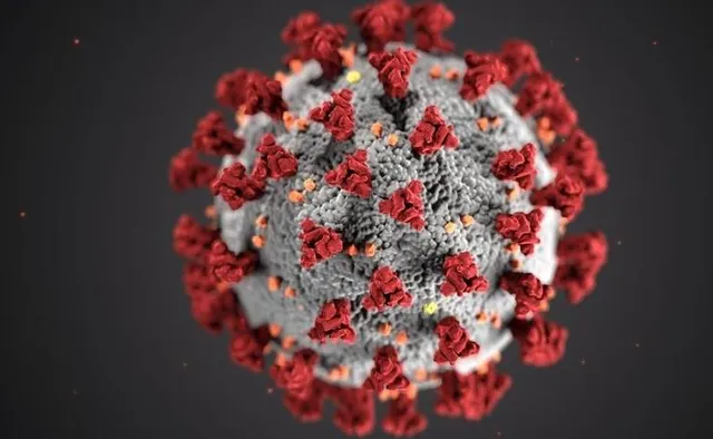 Daily corona infections in the country cross 20,000