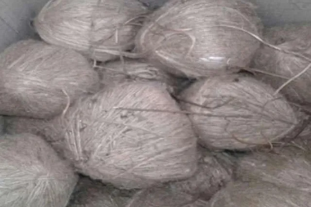 Bomb blast in Basanti