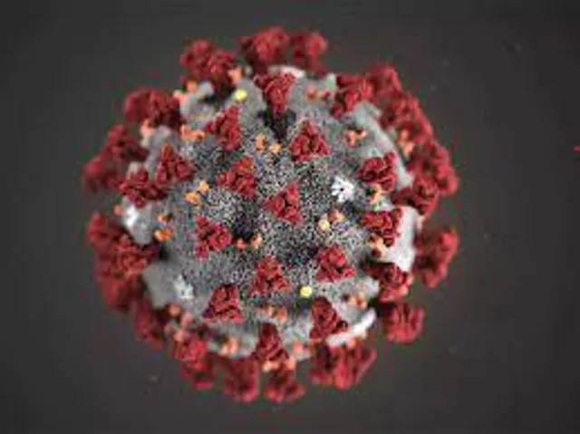 Karnataka College's innovation festival takes the form of super spreader