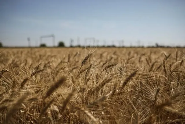 Ukraine is about to export grain for the second time amid the war