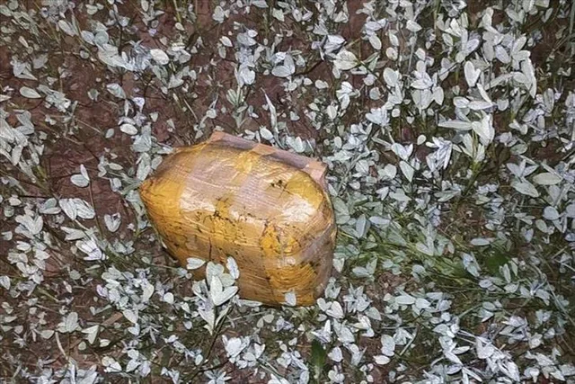 Recovery of consignment of weapons dropped by drone in Gurdaspur