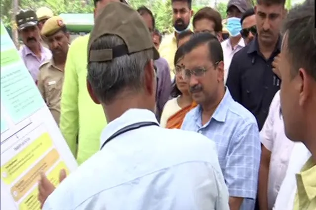 Capital Delhi has become more green by the 'Tree Replacement Policy'