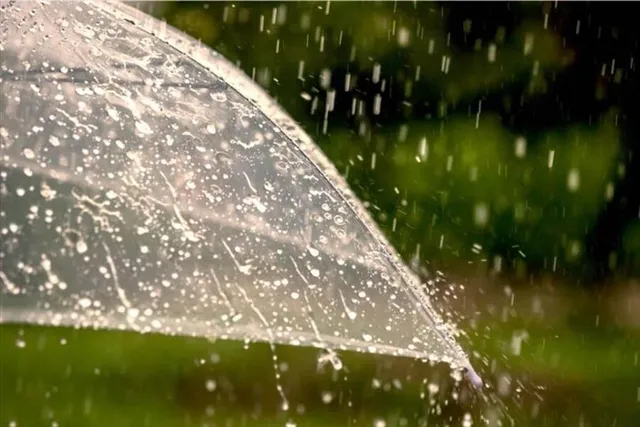 Beginning  in  the  midst  of  drizzle