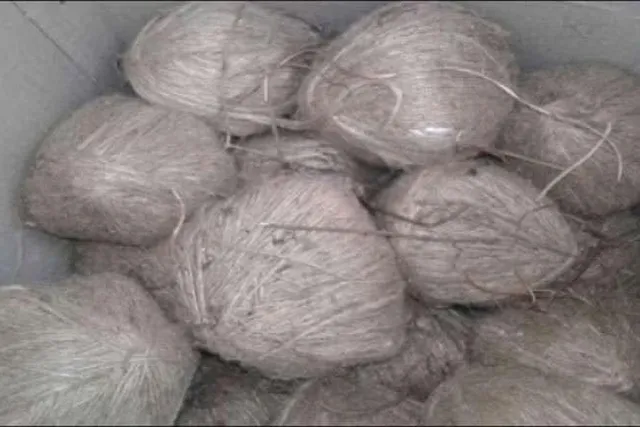 50 bombs recovered from three villages of Birbhum