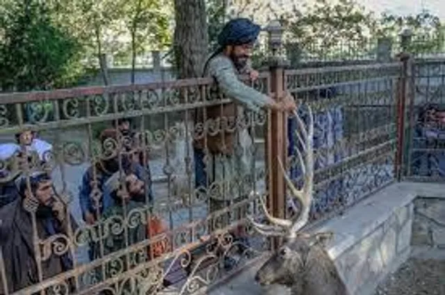 Armed Taliban seen Enjoying Zoo in Kabul, says they never seen so many animals