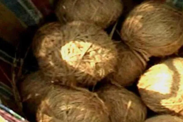 30 bombs recovered in Bhatpara municipality area