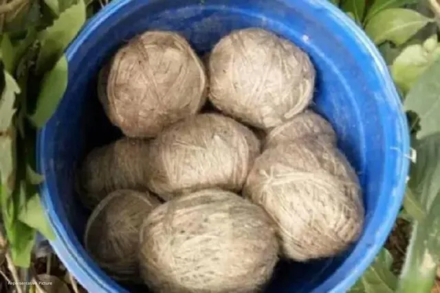Bomb recovered in Birbhum's Margram