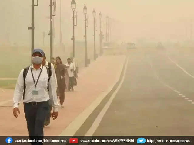 delhipollu