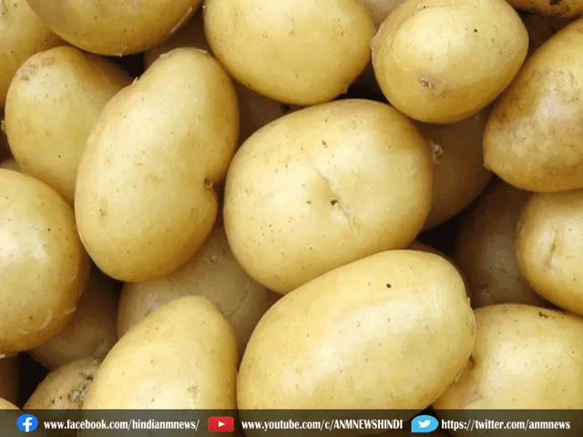 potato benefit
