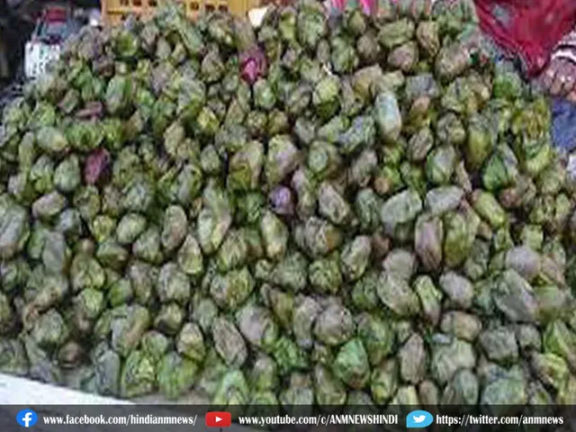 water chestnut