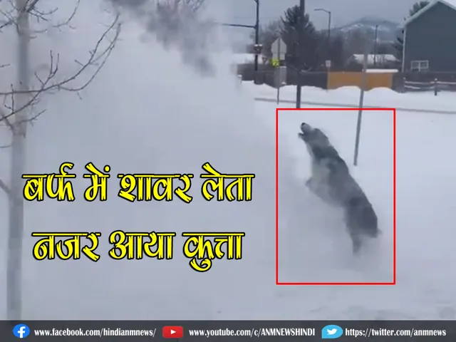 kutta 1312