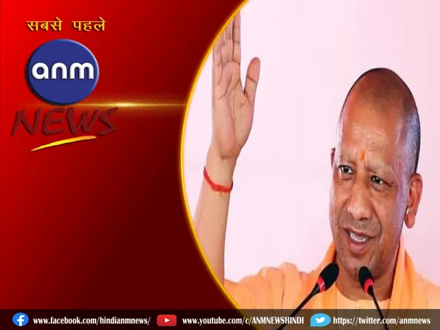 yogi