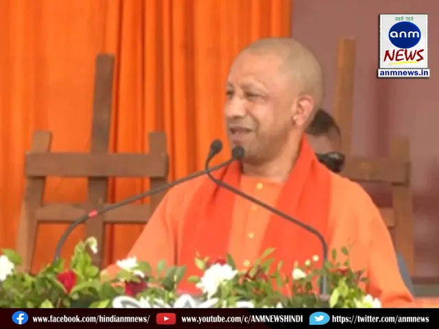 14 cm yogi