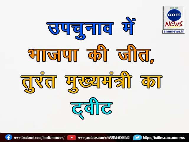 bjp won 2311