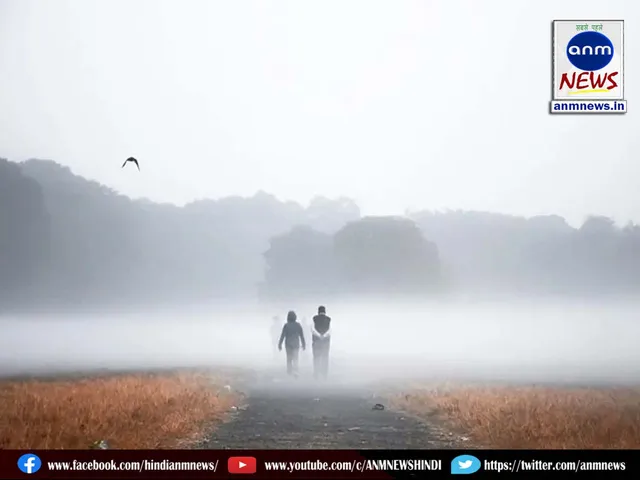 11 BENGAL WEATHER