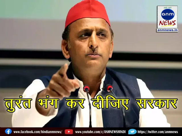 WhatsApp Image 2024-12-14 at 16.28.30