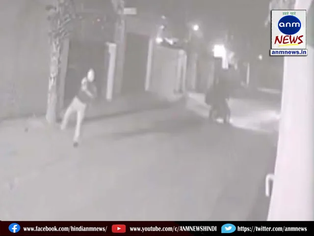 punjab police
