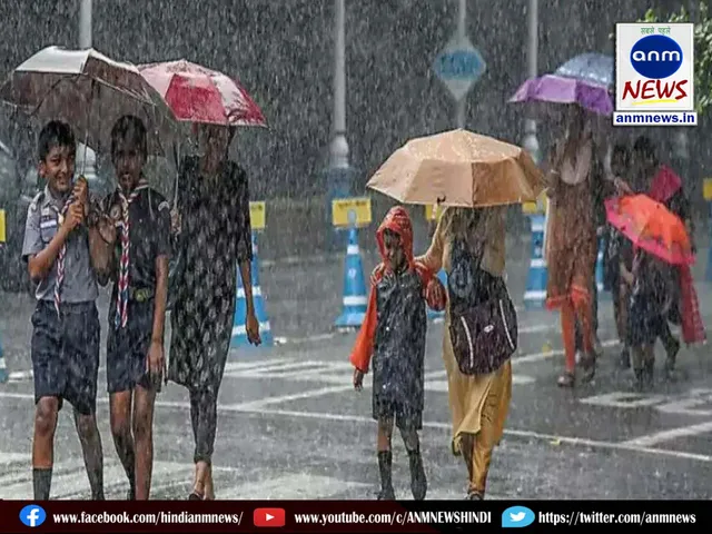 rain weather