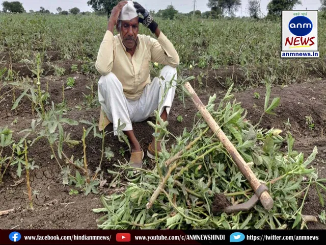 farmers worried