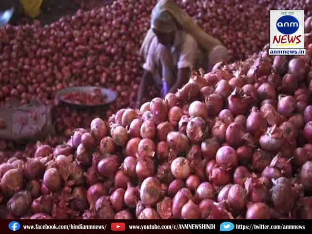 Big update on onion export
