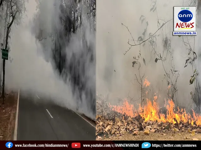 Fire in the forests of Saraswatiganj