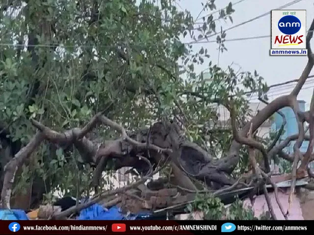 delhi