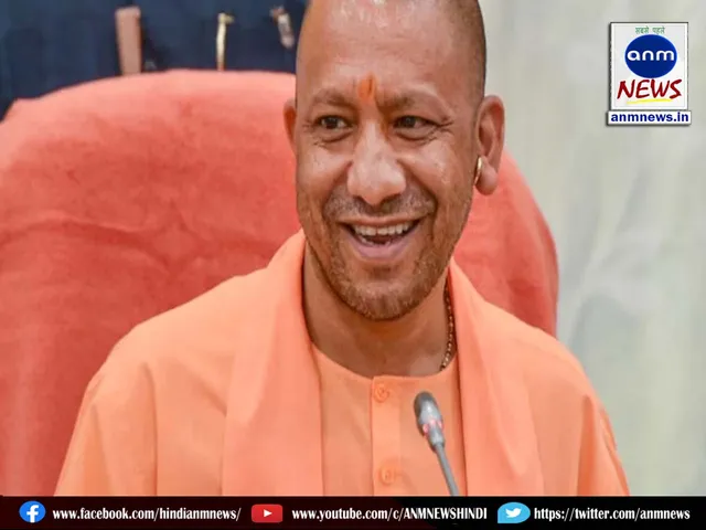 yogi
