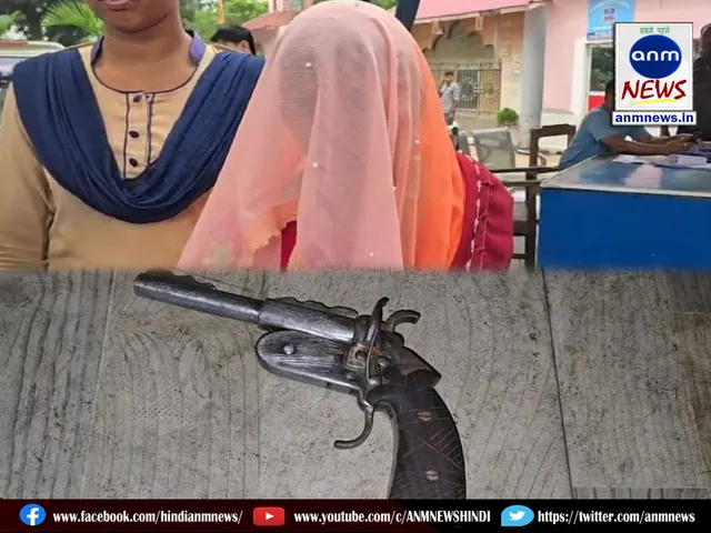 A woman was arrested for illegally possessing weapons