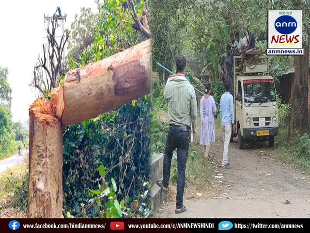 Illegal tree felling, electricity department work stopped, heavy fines to be levied