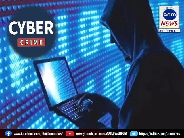 Cyber ​​fraud gang busted