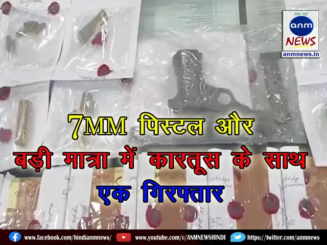 One 7mm pistol and a large quantity of cartridges