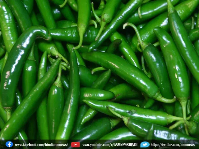 green chilli