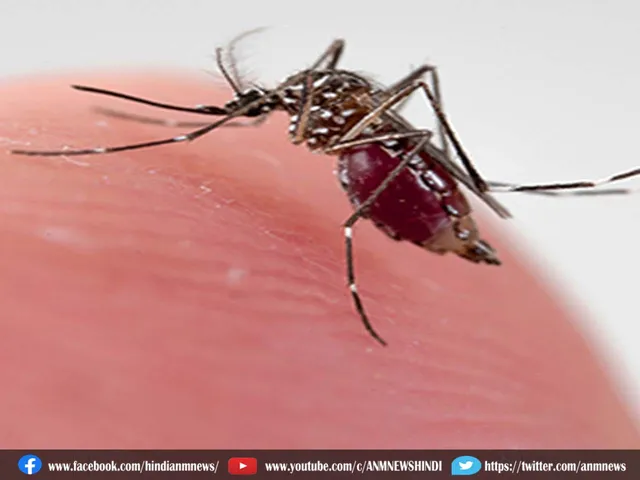 malaria