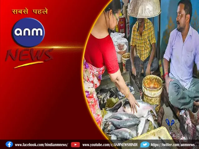 hilsa fish