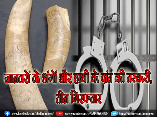 hathi daat