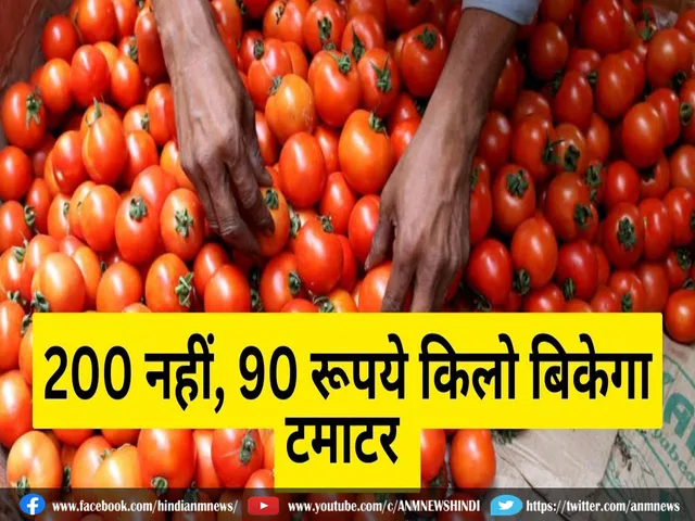 tomato for only Rs 90
