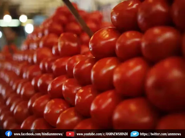 tomatpnew456