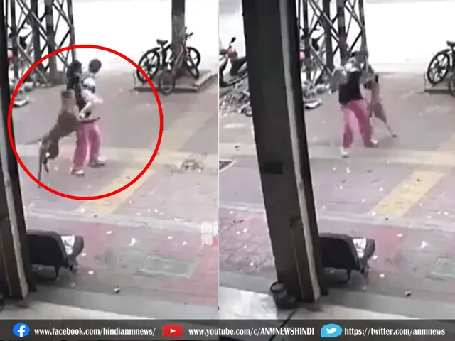 dog viral video