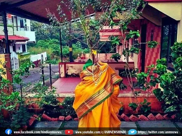 tulsihow