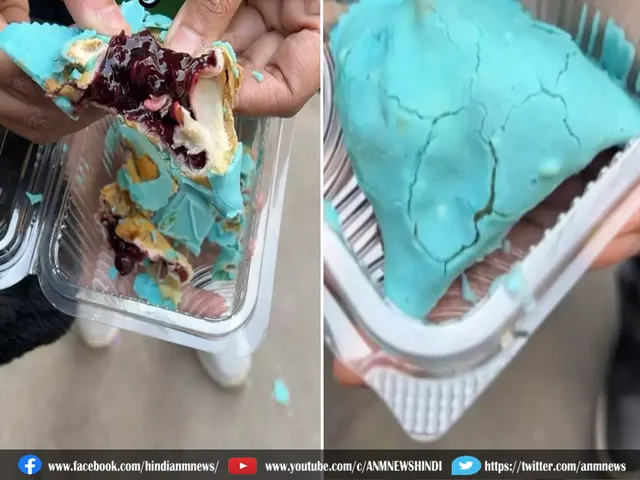  BLUE BERRY SAMOSA