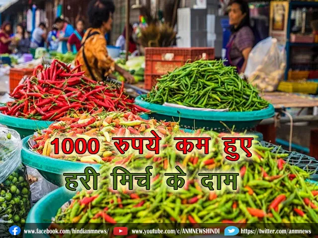 Greenchilli