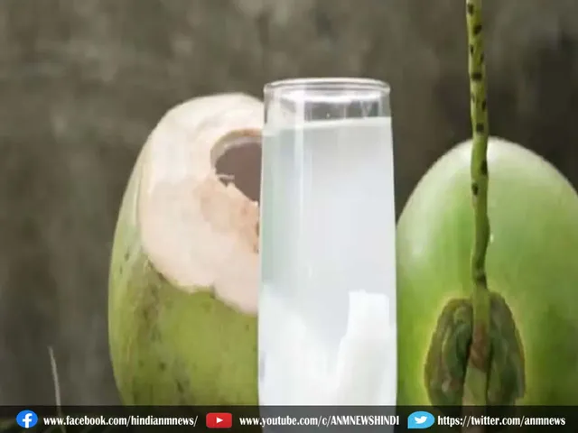 coconut water