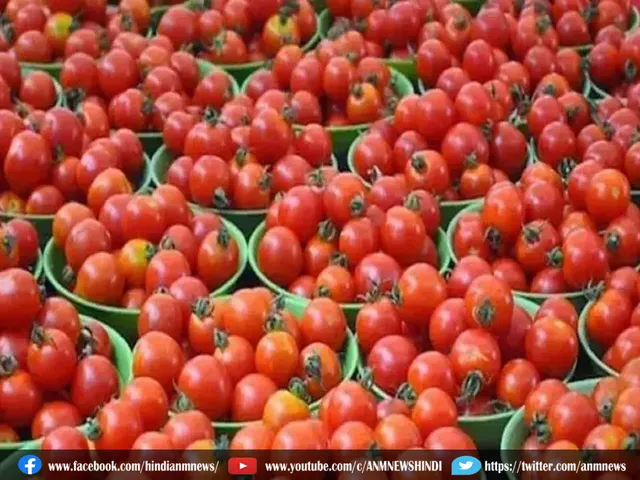 Tomato Rates