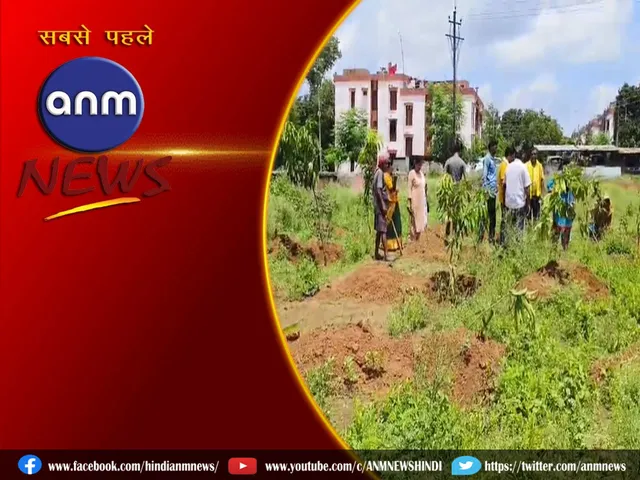 22 PLANT